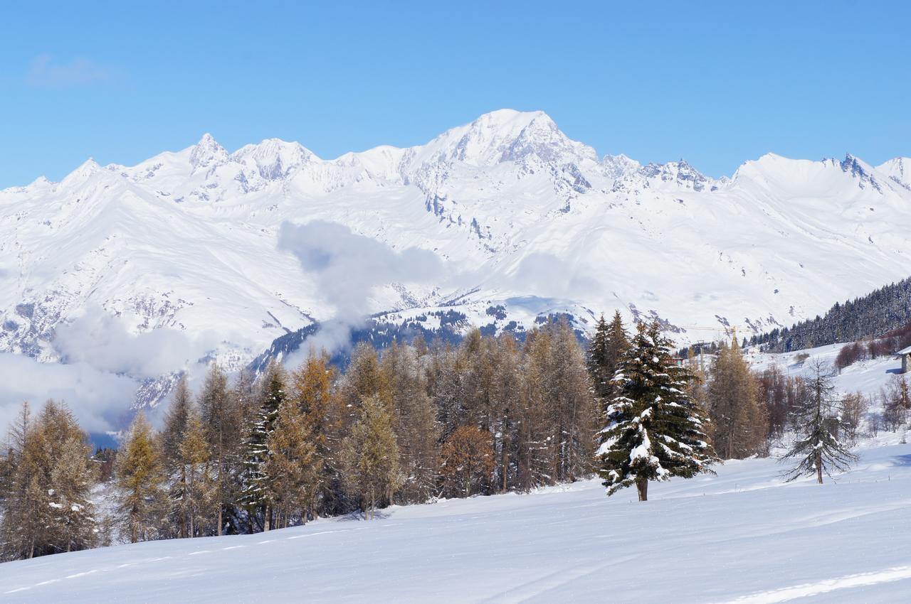 Chalet Les Amis Peisey-Nancroix Exterior photo